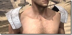 Abahs-Watch-Arm-Cops-Male-Front_thumb.jpg