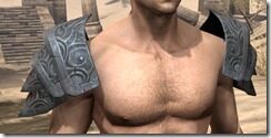 Abahs-Watch-Pauldron-Male-Front_thumb.jpg