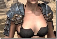 Akaviri-Iron-Pauldron-Female-Front_thumb.jpg