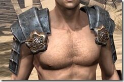 Akaviri-Iron-Pauldron-Male-Front_thumb.jpg