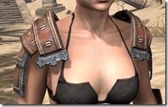 Akaviri-Rawhide-Arm-Cops-Female-Front_thumb.jpg