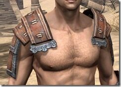 Akaviri-Rawhide-Arm-Cops-Male-Front_thumb.jpg
