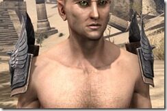Aldmeri-Dominion-Iron-Pauldron-Male-Front_thumb.jpg