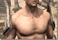 Aldmeri-Dominion-Rawhide-Arm-Cops-Male-Front_thumb.jpg