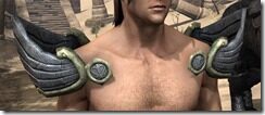 Ancient-Elf-Iron-Pauldron-Male-Front_thumb.jpg
