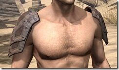 Ancient-Orc-Rawhide-Arm-Cops-Male-Front_thumb.jpg