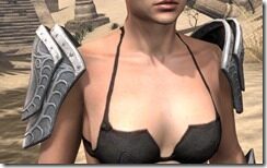 Apostle-Iron-Pauldrons-Female-Front_thumb.jpg
