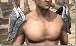 Apostle-Iron-Pauldrons-Male-Front_thumb.jpg