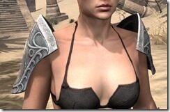 Apostle-Rawhide-Arm-Cops-Female-Front_thumb.jpg