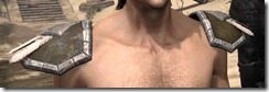 Argonian-Cotton-Epaulets-Male-Front_thumb.jpg