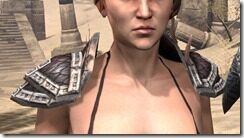Argonian-Full-Leather-Arm-Cops-Female-Front_thumb.jpg