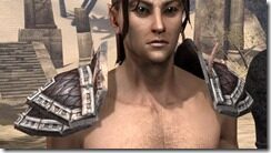 Argonian-Full-Leather-Arm-Cops-Male-Front_thumb.jpg