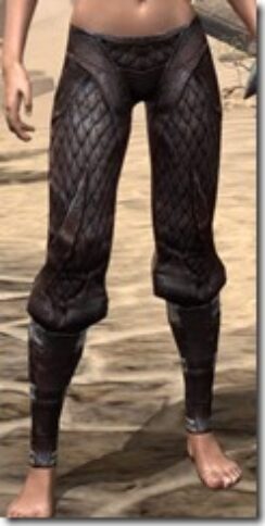 Argonian-Full-Leather-Guards-Female-Front_thumb.jpg