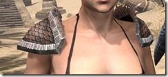 Argonian-Hide-Arm-Cops-Female-Front_thumb.jpg