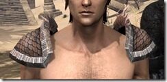 Argonian-Hide-Arm-Cops-Male-Front_thumb.jpg