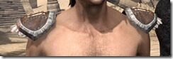 Argonian-Homespun-Epaulets-Male-Front_thumb.jpg