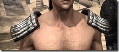 Argonian-Iron-Pauldron-Male-Front_thumb.jpg