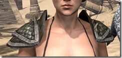 Argonian-Leather-Arm-Cops-Female-Front_thumb.jpg
