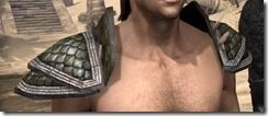 Argonian-Leather-Arm-Cops-Male-Front_thumb.jpg