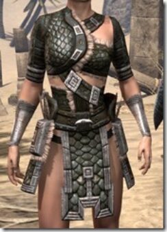 Argonian-Leather-Jack-Female-Front_thumb.jpg