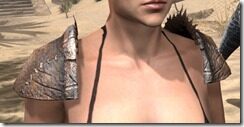 Argonian-Rawhide-Arm-Cops-Female-Front_thumb.jpg