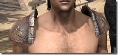 Argonian-Rawhide-Arm-Cops-Male-Front_thumb.jpg