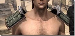 Argonian-Steel-Pauldron-Male-Front_thumb.jpg