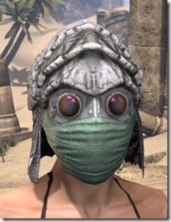 Ashlander-Homespun-Hat-Female-Front_thumb.jpg