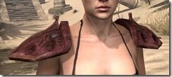Ashlander-Old-Medium-Arm-Cops-Female-Front_thumb.jpg