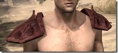 Ashlander-Old-Medium-Arm-Cops-Male-Front_thumb.jpg