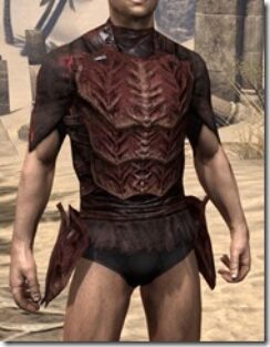 Ashlander-Old-Medium-Jack-Male-Front_thumb.jpg