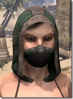 Assassins-League-Homespun-Hat-Female-Front_thumb.jpg