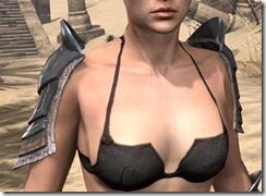 Assassins-League-Iron-Pauldrons-Female-Front_thumb.jpg