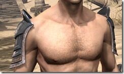 Assassins-League-Iron-Pauldrons-Male-Front_thumb.jpg