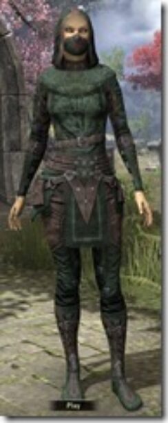 Assassins-League-Shirt-Female-Front_thumb.jpg