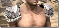Bloodforge-Homespun-Epaulets-Male-Front_thumb.jpg