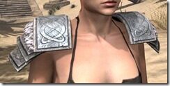Bloodforge-Iron-Pauldron-Female-Front_thumb.jpg