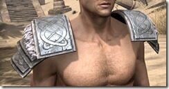 Bloodforge-Iron-Pauldron-Male-Front_thumb.jpg