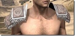 Bloodforge-Rawhide-Arm-Cops-Male-Front_thumb.jpg