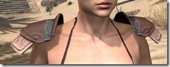 Breton-Hide-Arm-Cops-Female-Front_thumb.jpg