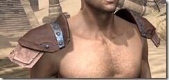 Breton-Hide-Arm-Cops-Male-Front_thumb.jpg