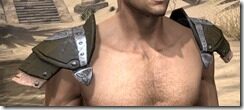 Breton-Leather-Arm-Cops-Male-Front_thumb.jpg