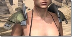 Breton-Orichalc-Pauldron-Female-Front_thumb.jpg