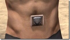 Breton-Rawhide-Belt-Male-Front_thumb.jpg