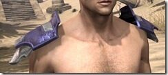 Breton-Spidersilk-Epaulets-Male-Front_thumb.jpg
