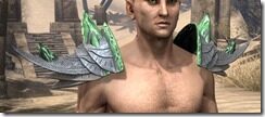 Buoyant-Armiger-Iron-Pauldron-Male-Front_thumb.jpg