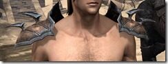 Daedric-Rawhide-Arm-Cops-Male-Front_thumb.jpg
