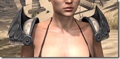 Daggerfall-Covenant-Homespun-Epaulets-Female-Front_thumb.jpg