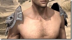 Daggerfall-Covenant-Iron-Pauldron-Male-Front_thumb.jpg