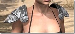 Daggerfall-Covenant-Rawhide-Arm-Cops-Female-Front_thumb.jpg